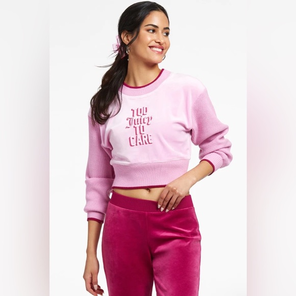Juicy Couture Tops - Juicy Couture Pink cropped velour sweater XS